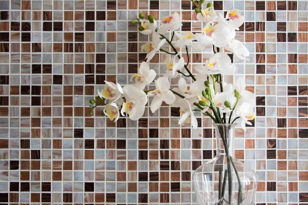 Biennale Apartments 威尼斯 0*,